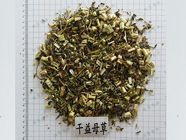 幹益母草