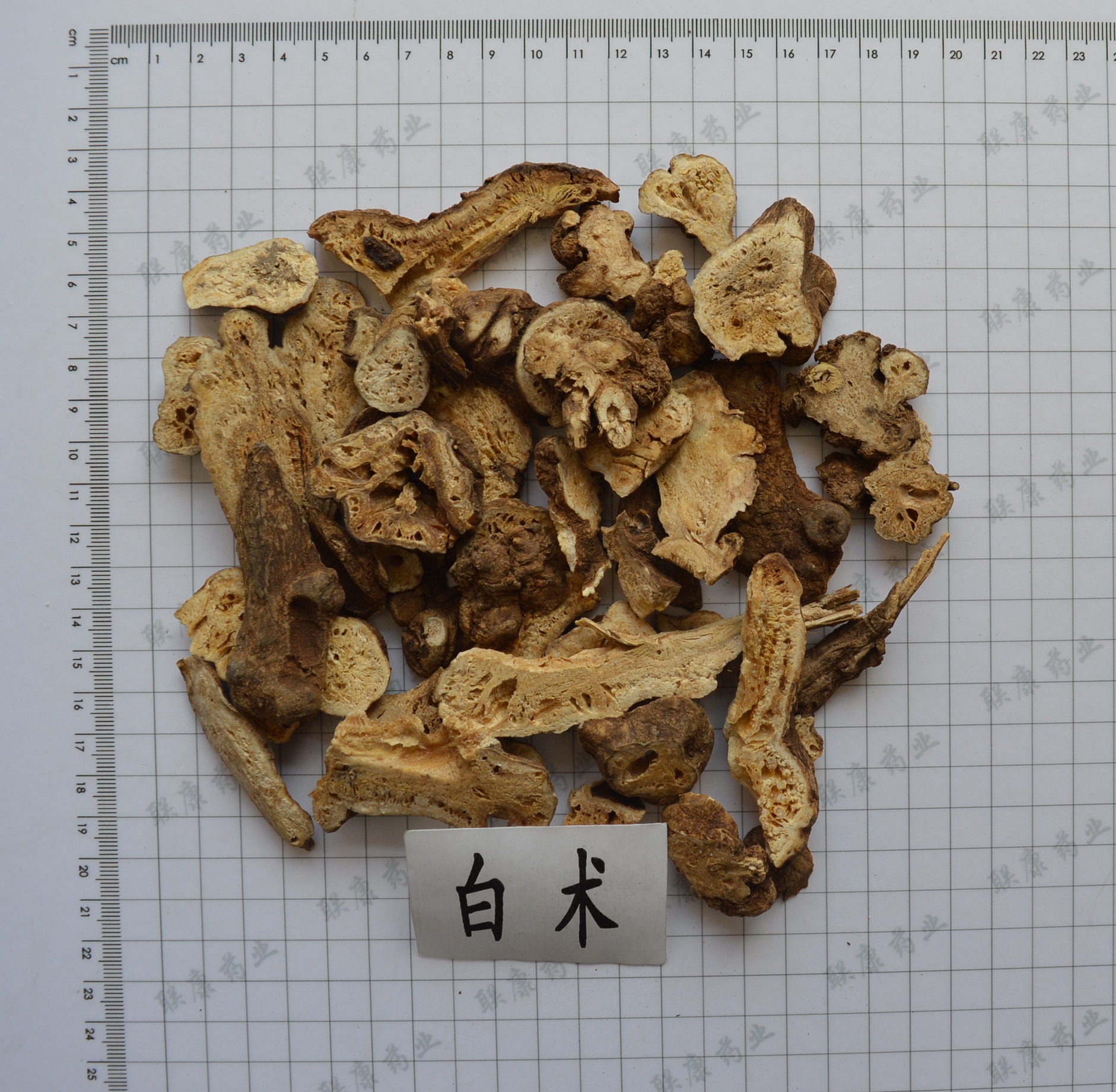 白(bái)術