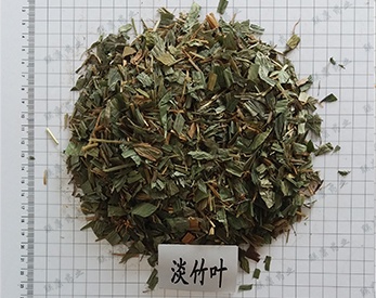 淡竹葉