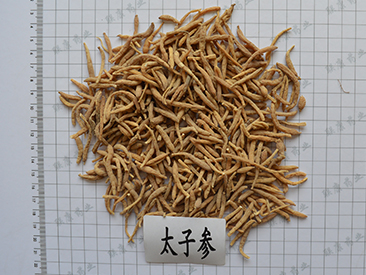 太子參